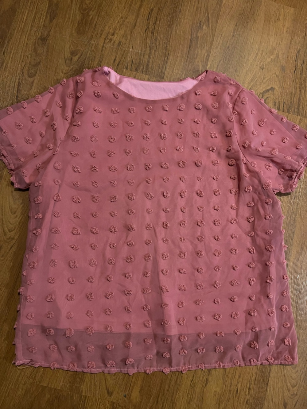 Textured Dot Swiss Pink Blouse